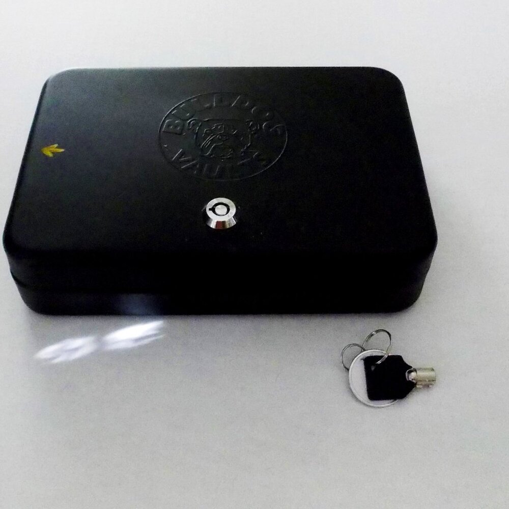 Bulldog Gun Metal Vault Safe with Key